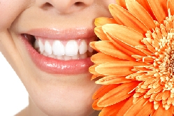 Thornhill Dentist Community Services